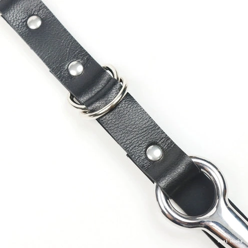Anal Hooks EverydayUse Hook and Leash Anal 5853 with Collar Kinky 1016